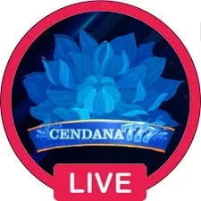 Cara Pasang cendana777 di HP Android dengan Benar dan kijangwin: Rangkuman Brand yang Banyak Dicari
